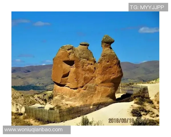 土耳其与突尼斯精彩对决回放分析及赛后点评 土耳其与突尼斯精彩对决回放分析及赛后点评